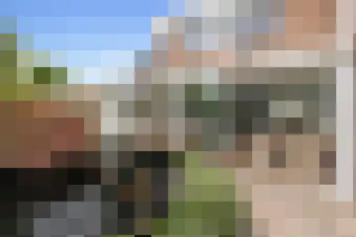 Botter 24 24 25 Lelystad thumbnail 22