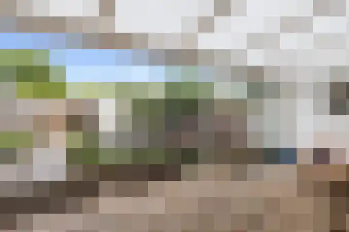 Botter 24 24 25 Lelystad thumbnail 25