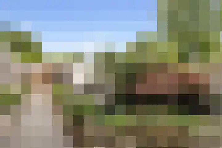 Botter 24 24 25 Lelystad thumbnail 26
