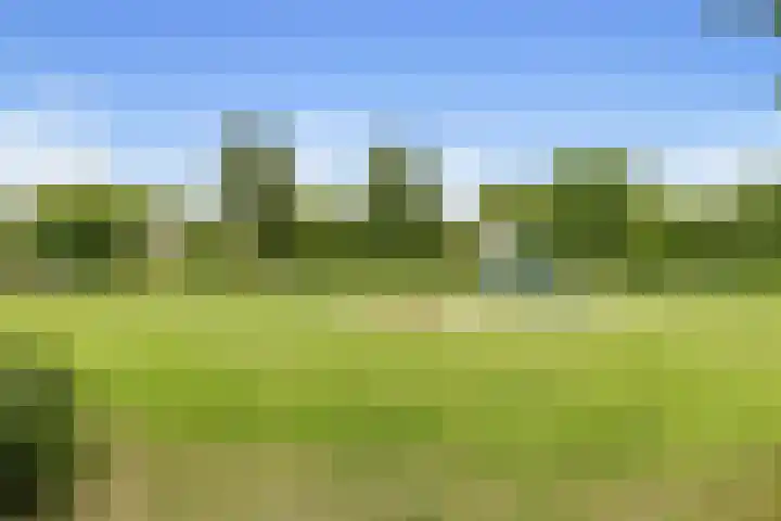 Botter 24 24 25 Lelystad thumbnail 29