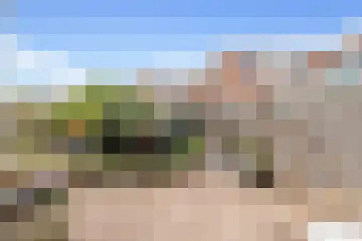 Botter 24 24 25 Lelystad thumbnail 30