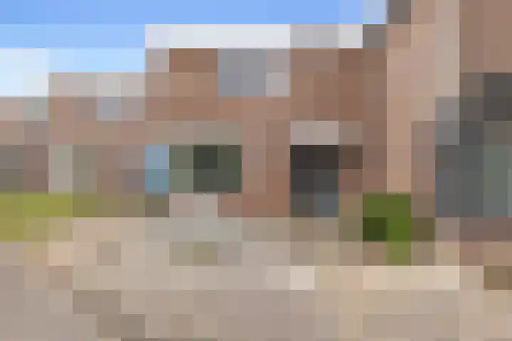Botter 24 24 25 Lelystad thumbnail 4
