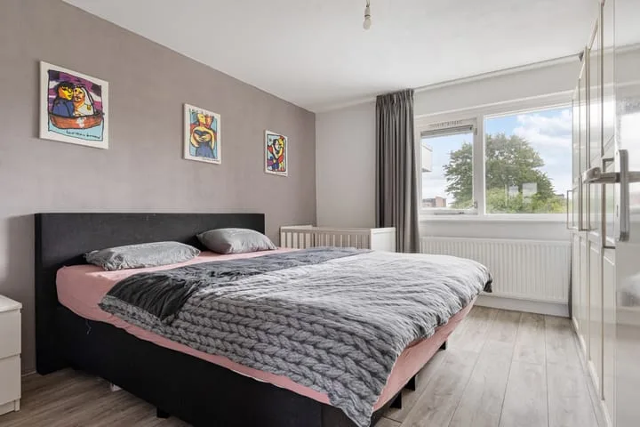 Botter 24 25 Lelystad thumbnail 16