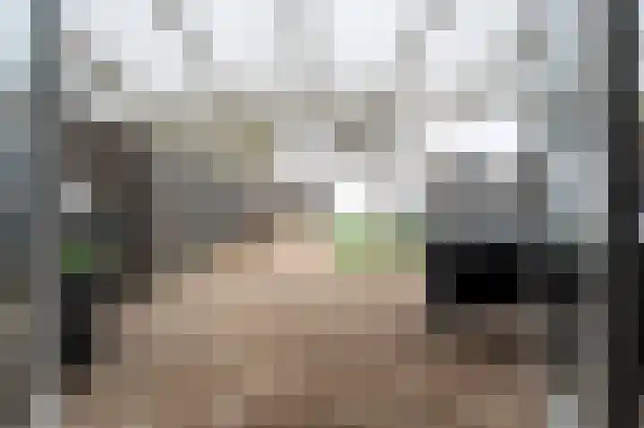 Botter 24 9 Lelystad thumbnail 31