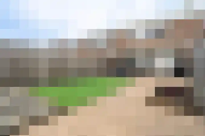 Botter 24 9 Lelystad thumbnail 32