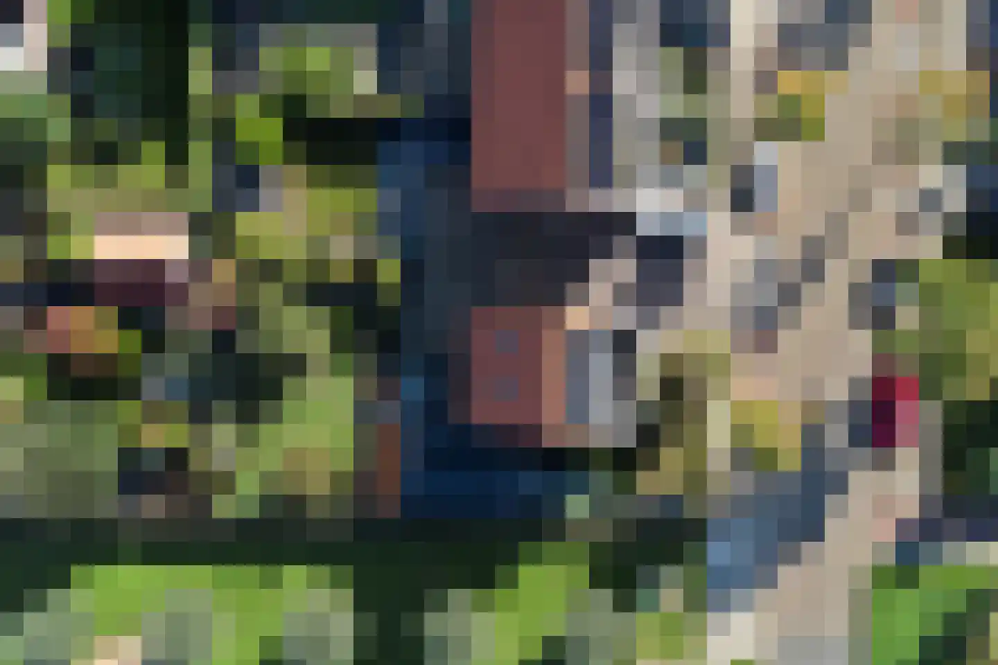 Botter 24 Arnemuiden thumbnail 48