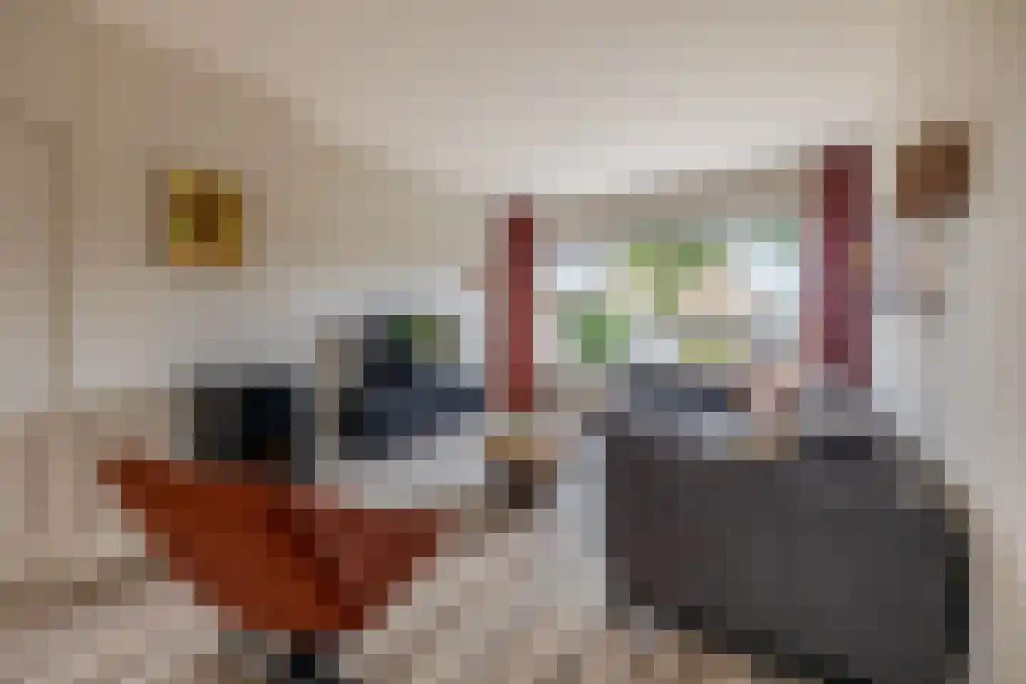 Botter 24 Lemmer thumbnail 10
