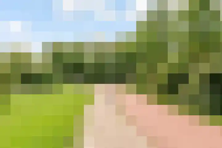 Botter 25 25 25 Lelystad thumbnail 34