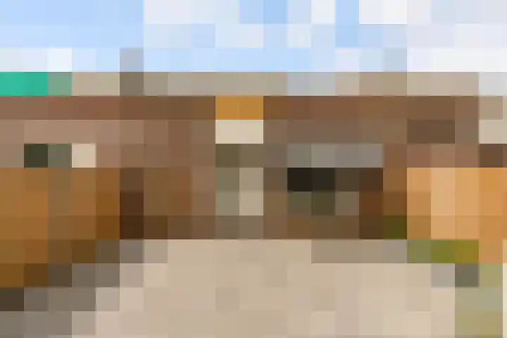 Botter 25 25 25 Lelystad thumbnail 40