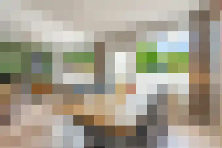 Botter 25 25 Lelystad thumbnail 10
