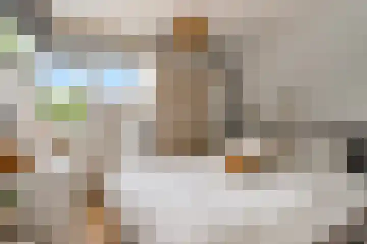 Botter 25 25 Lelystad thumbnail 18