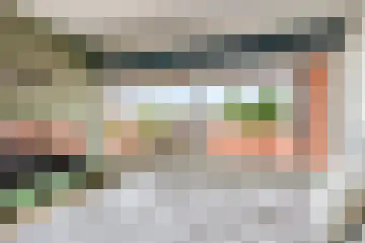 Botter 25 25 Lelystad thumbnail 22