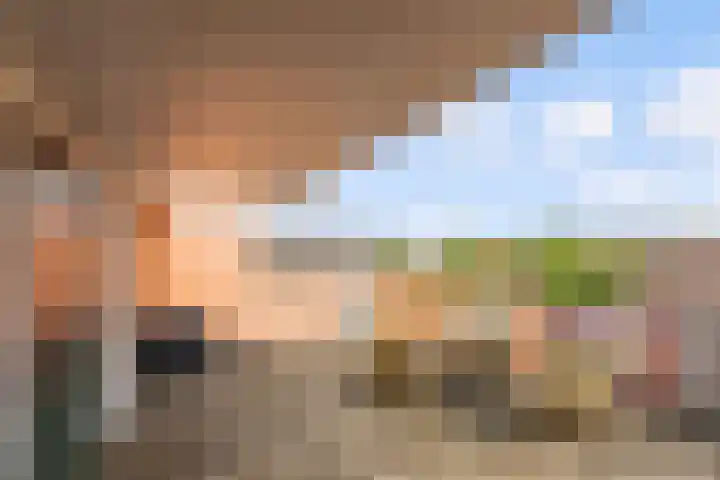 Botter 25 25 Lelystad thumbnail 25