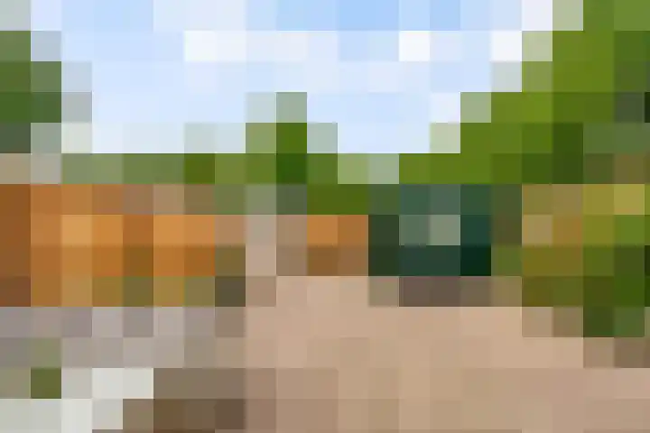 Botter 25 25 Lelystad thumbnail 27