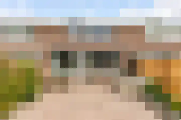 Botter 25 25 Lelystad thumbnail 28