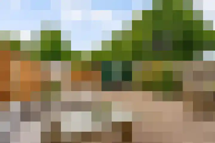 Botter 25 25 Lelystad thumbnail 29