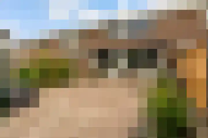 Botter 25 25 Lelystad thumbnail 30