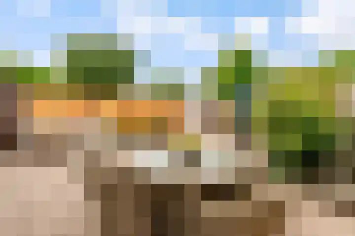 Botter 25 25 Lelystad thumbnail 31