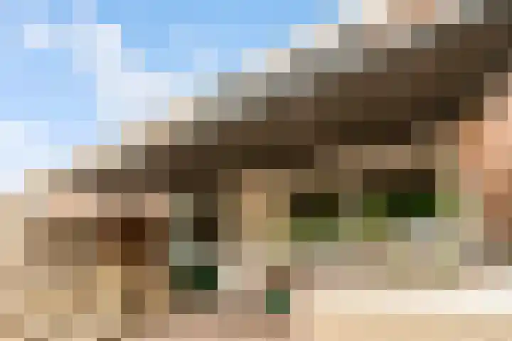 Botter 25 25 Lelystad thumbnail 32