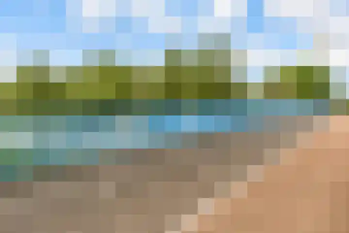 Botter 25 25 Lelystad thumbnail 35