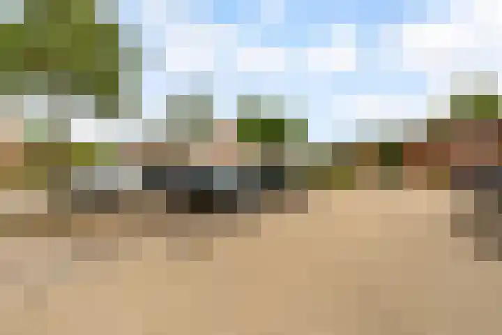 Botter 25 25 Lelystad thumbnail 36
