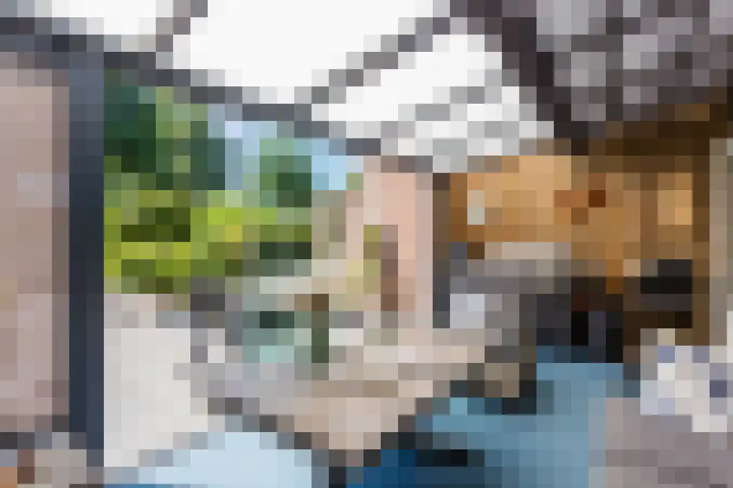 Botter 25 5 Lelystad thumbnail 33