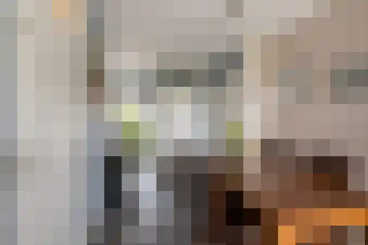 Botter 25 Maassluis thumbnail 11