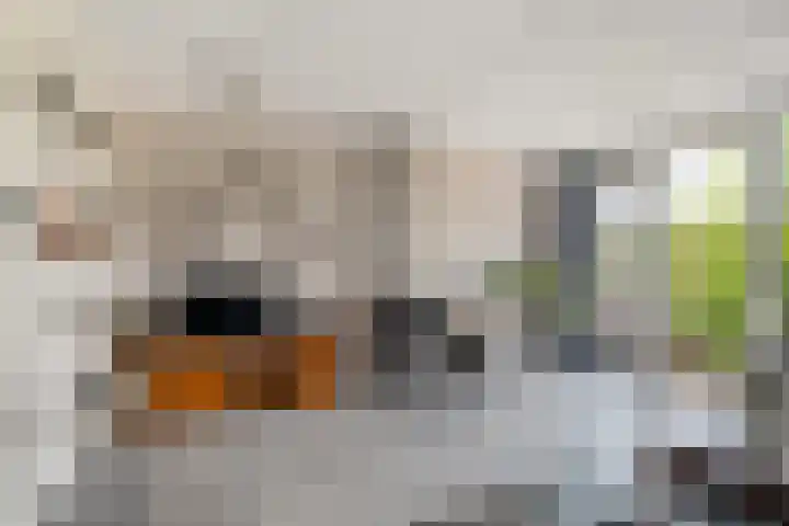 Botter 25 Maassluis thumbnail 14