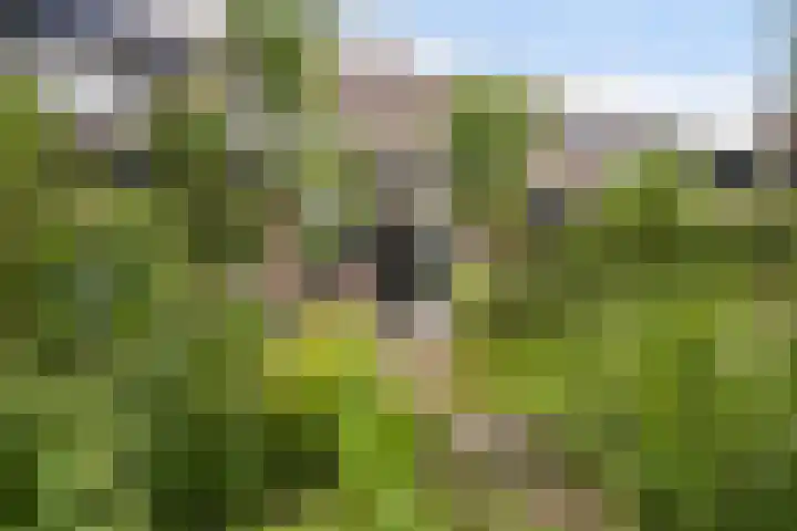 Botter 25 Maassluis thumbnail 15