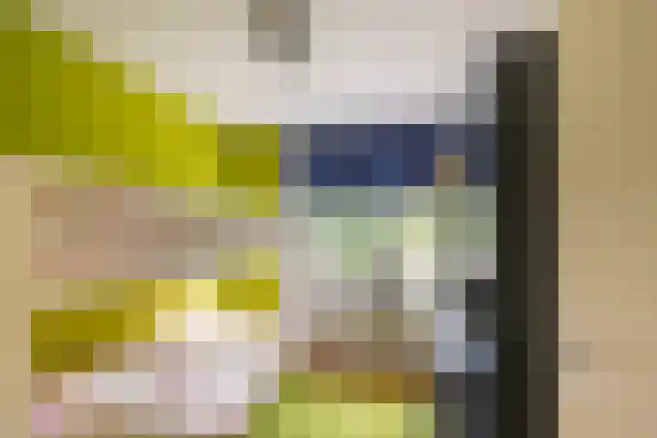 Botter 25 Maassluis thumbnail 23