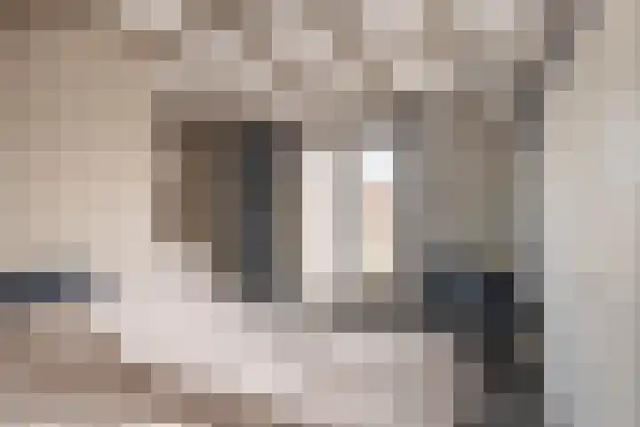 Botter 25 Maassluis thumbnail 32