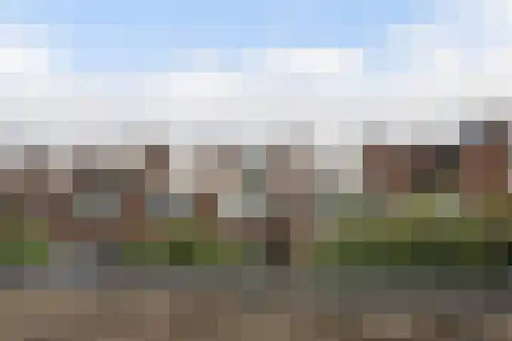 Botter 25 Maassluis thumbnail 33