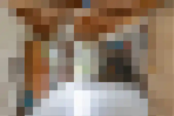 Botter 25 Maassluis thumbnail 37
