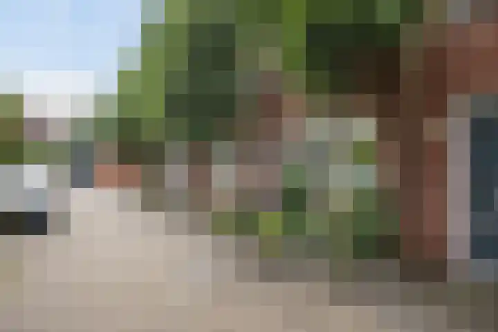 Botter 25 Maassluis thumbnail 4