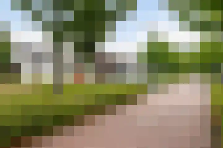 Botter 25 Maassluis thumbnail 42