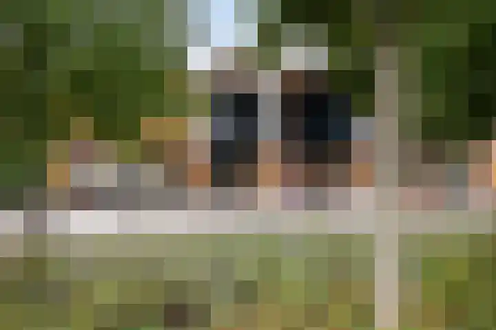 Botter 25 Maassluis thumbnail 43