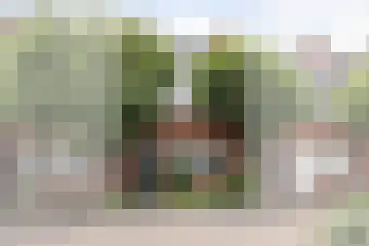 Botter 25 Maassluis thumbnail 5