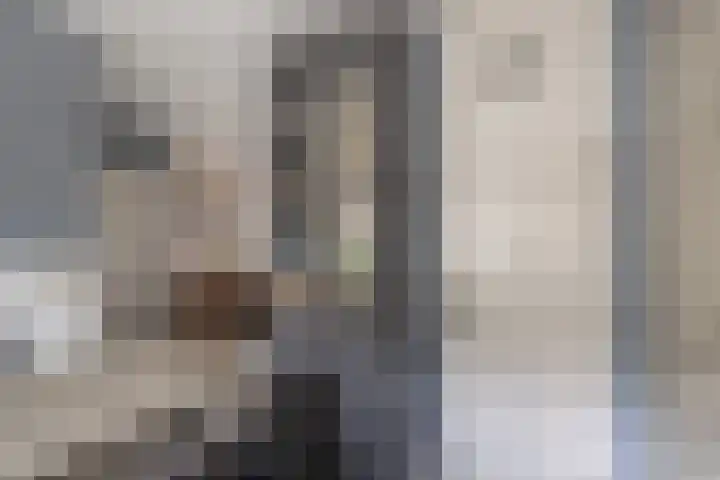 Botter 25 Maassluis thumbnail 7