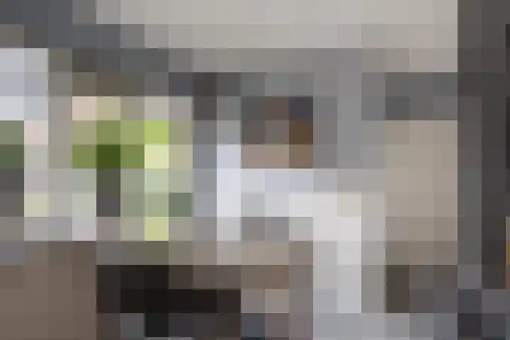 Botter 25 Maassluis thumbnail 8