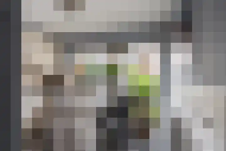 Botter 25 Maassluis thumbnail 9