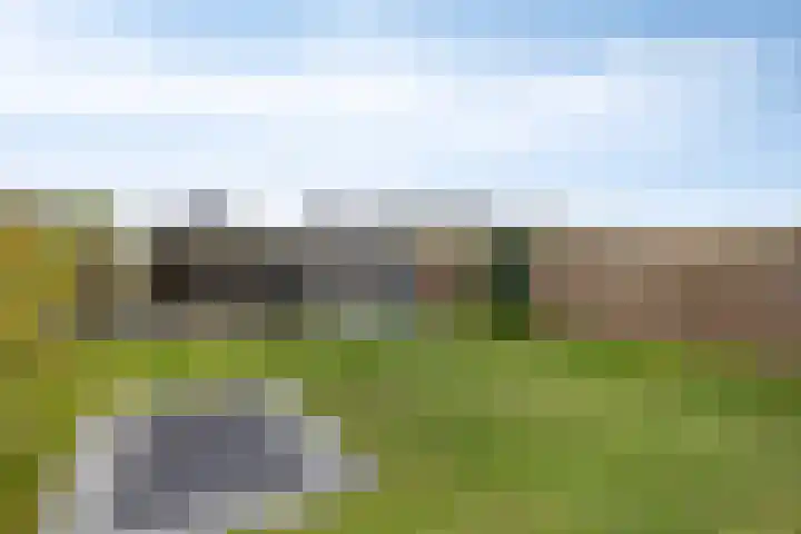 Botter 25 Meppel thumbnail 36