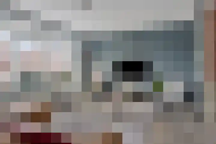 Botter 25 Meppel thumbnail 7