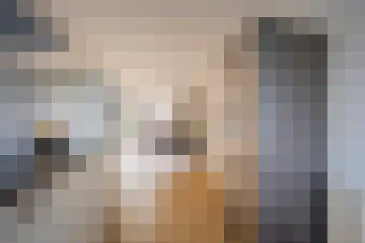 Botter 26 Nijkerk thumbnail 12