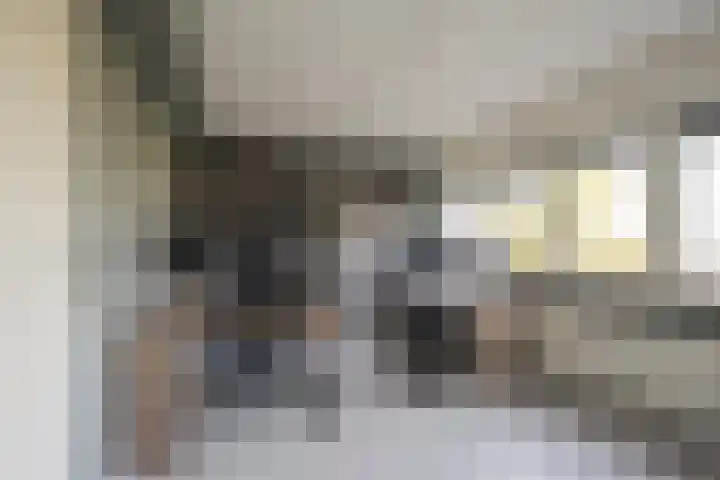 Botter 26 Nijkerk thumbnail 27