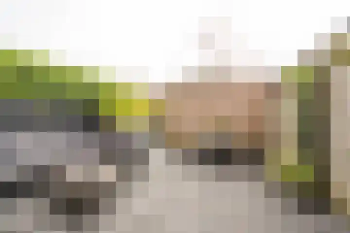 Botter 26 Nijkerk thumbnail 32