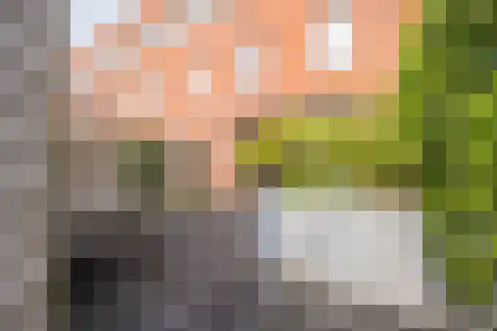 Botter 26 Nijkerk thumbnail 35