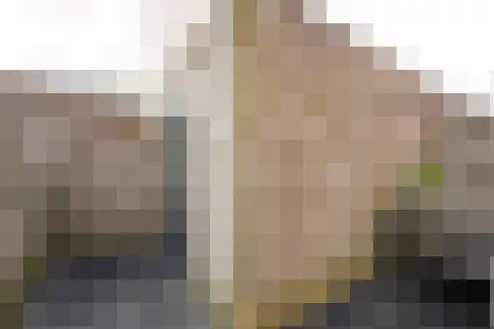 Botter 26 Nijkerk thumbnail 36