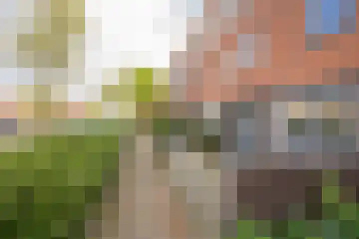 Botter 26 Nijkerk thumbnail 38
