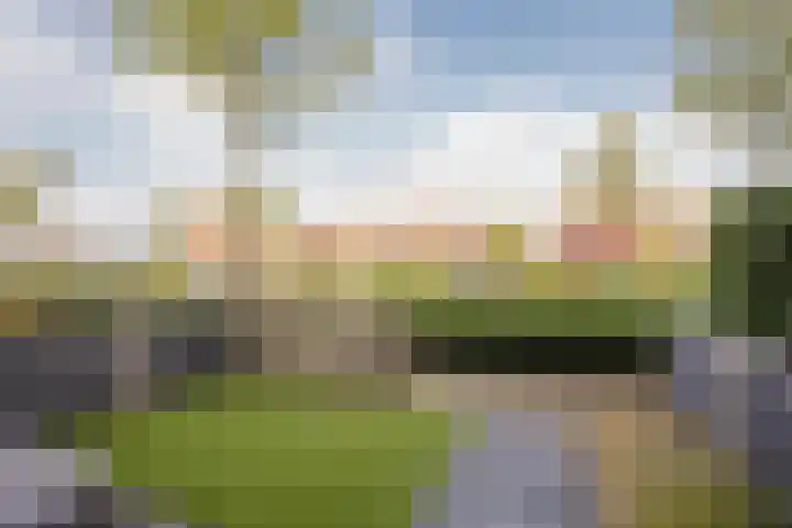 Botter 26 Nijkerk thumbnail 39