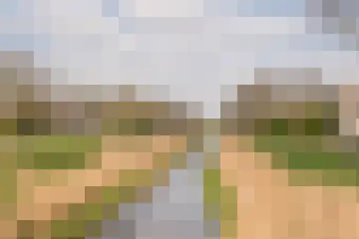 Botter 26 Nijkerk thumbnail 42